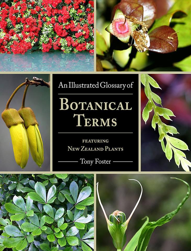 the cambridge illustrated glossary of botanical terms download